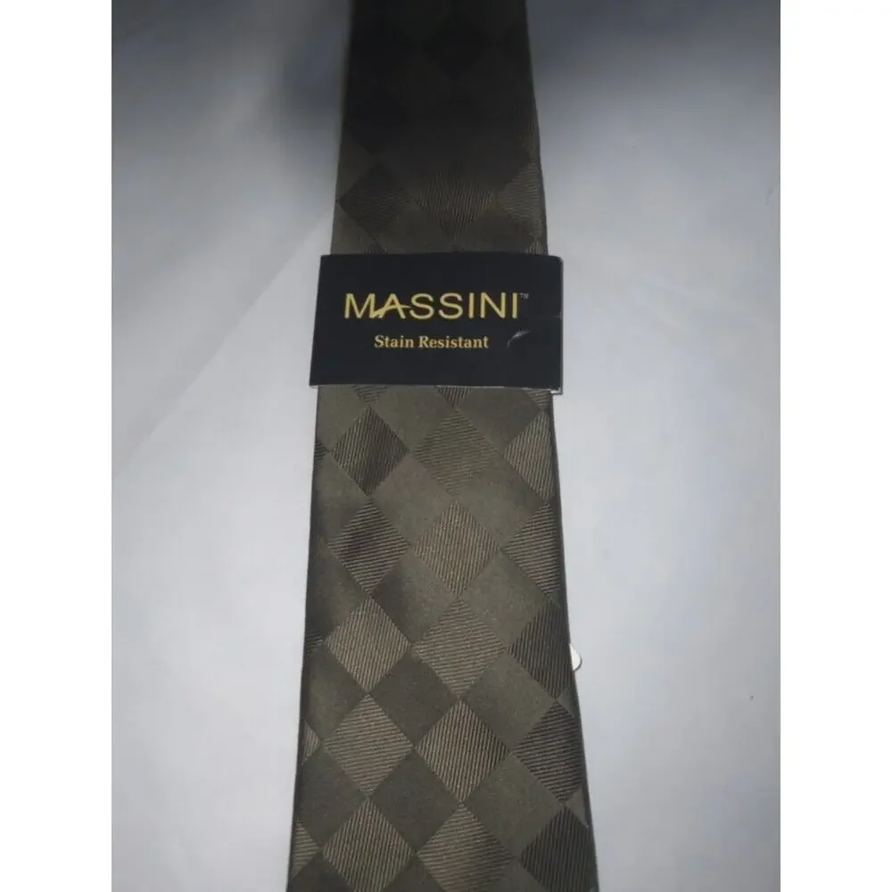 NWT Massini Silk Tie Stain Resistant -0812T20